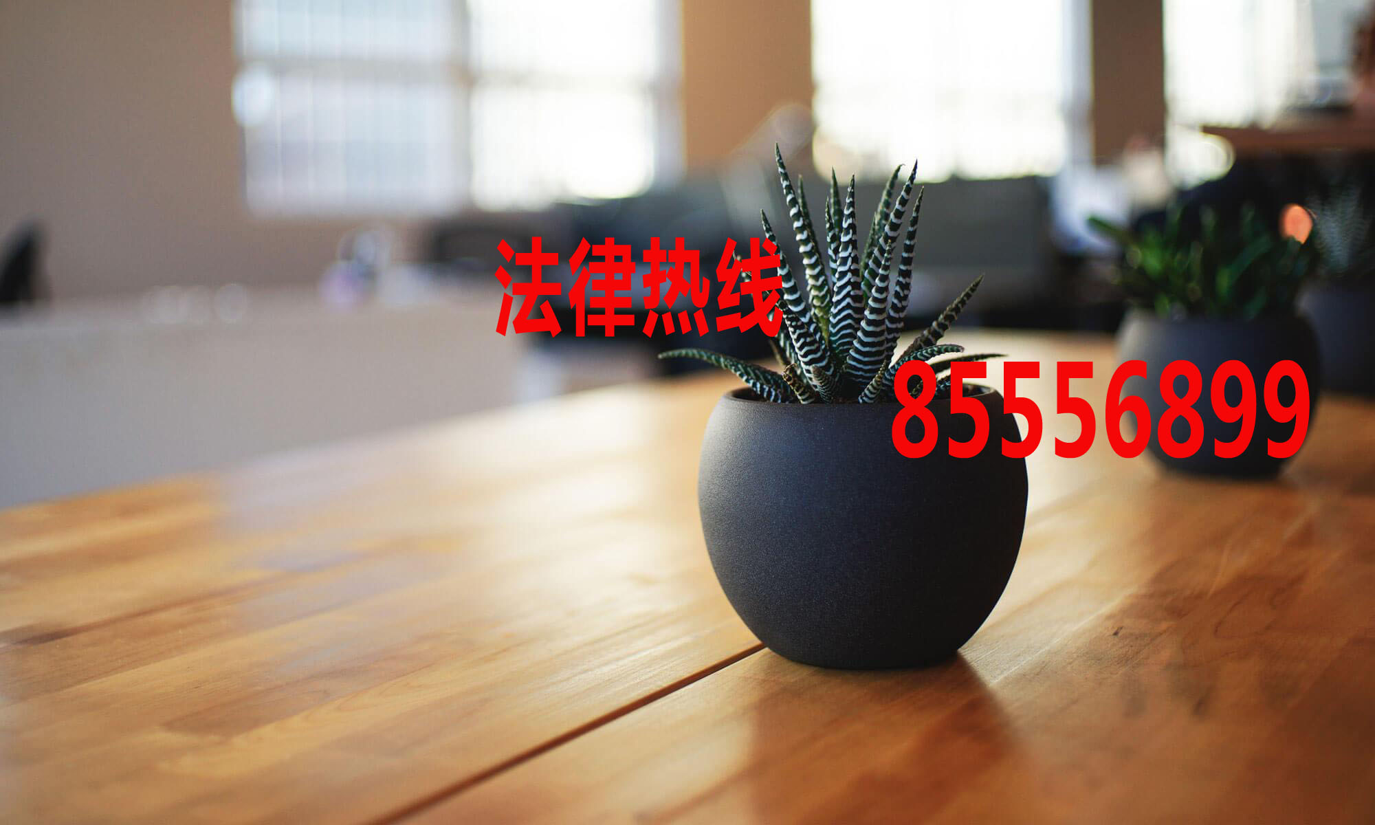 龙港律师15356291688_温州市龙港市律师